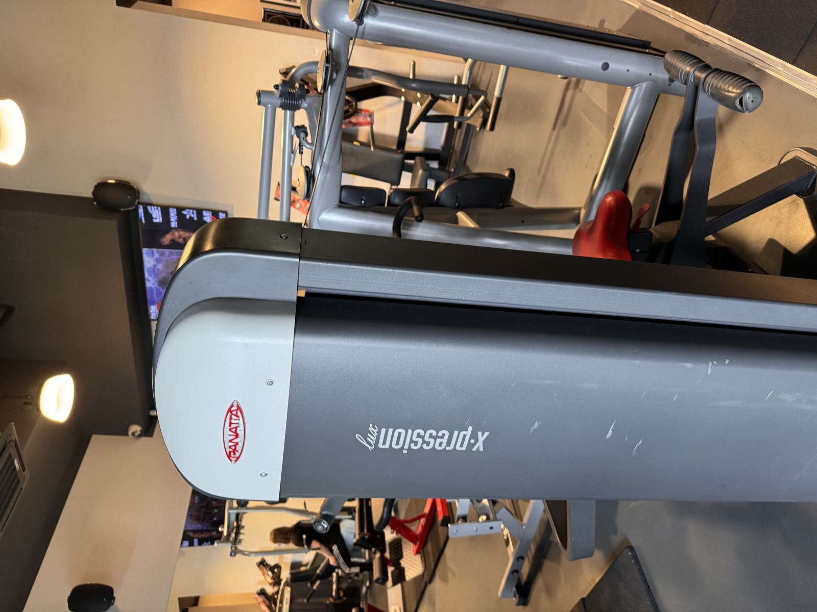 Panatta